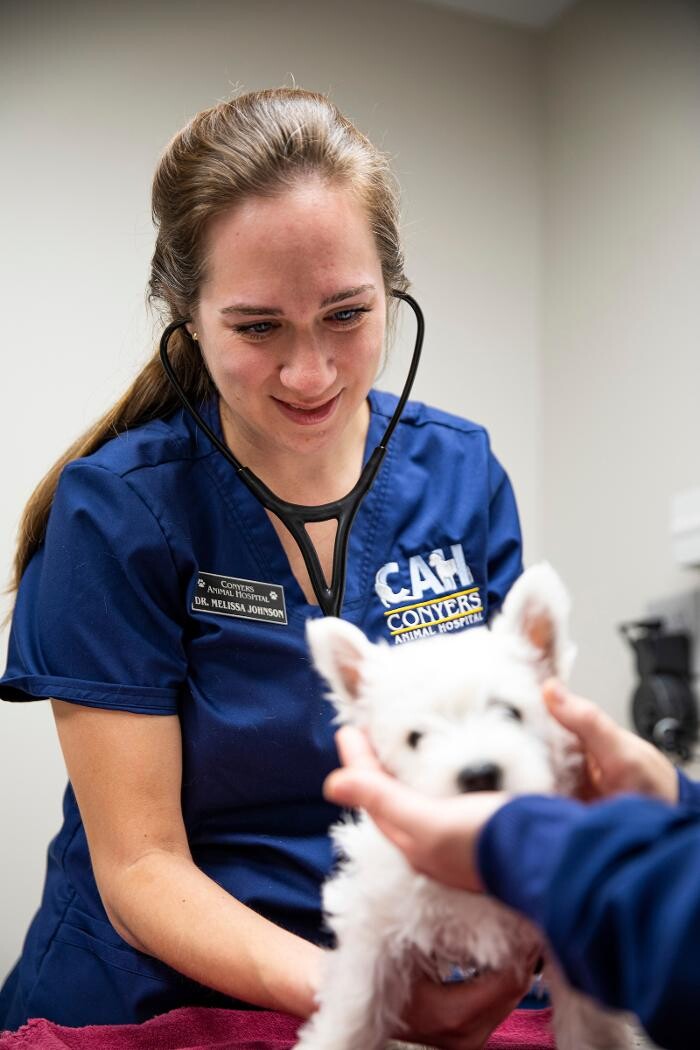Images Conyers Animal Hospital