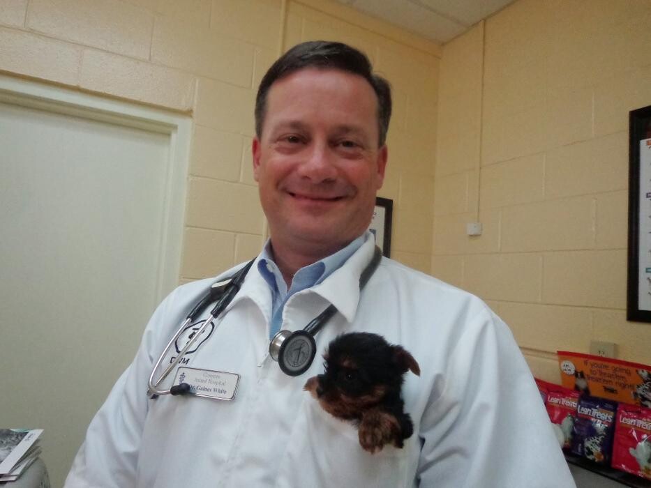 Images Conyers Animal Hospital