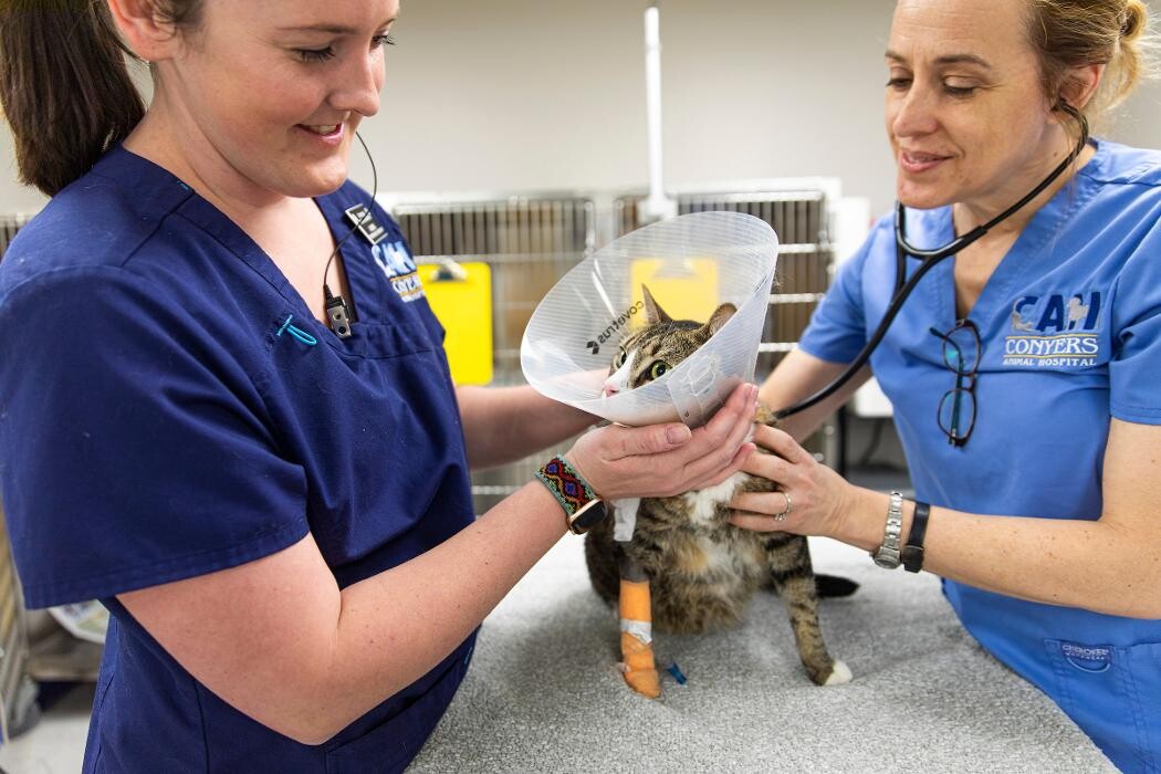 Images Conyers Animal Hospital