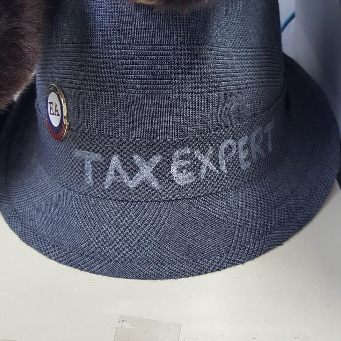 Images Martha De la chaussee Tax and Business Zone