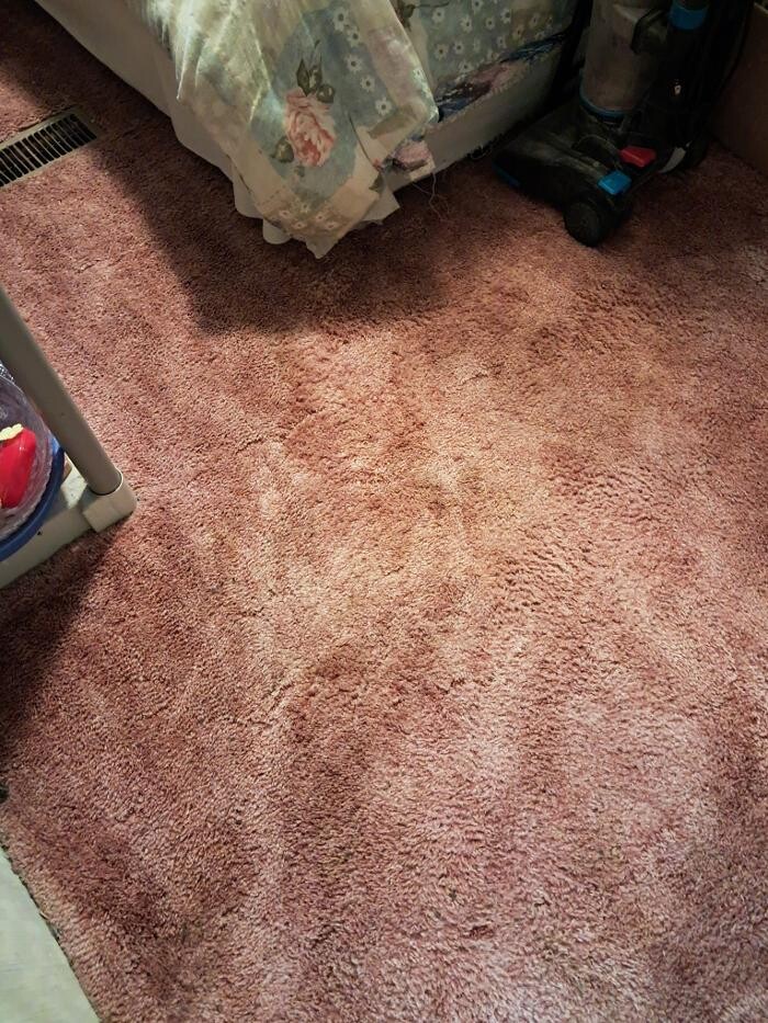 Images Swifty Bee Cleaning Services