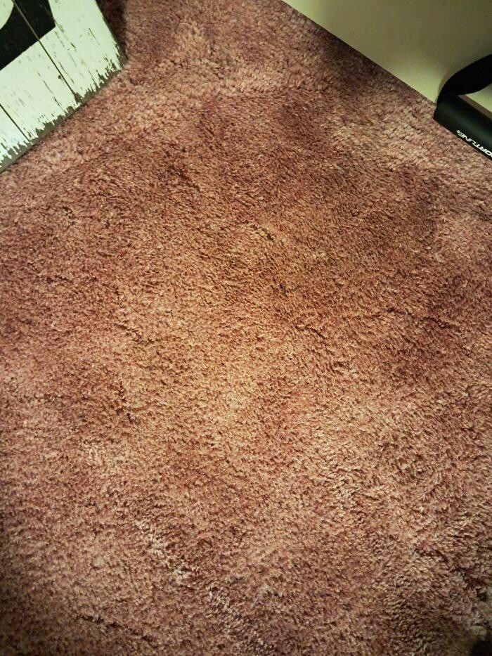 Images Swifty Bee Cleaning Services