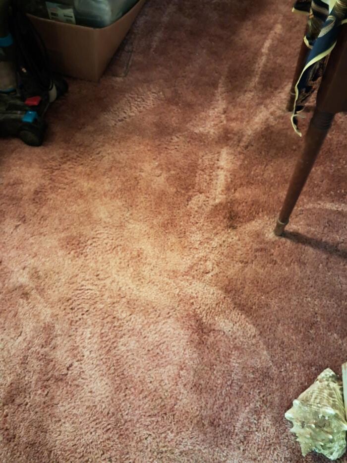 Images Swifty Bee Cleaning Services