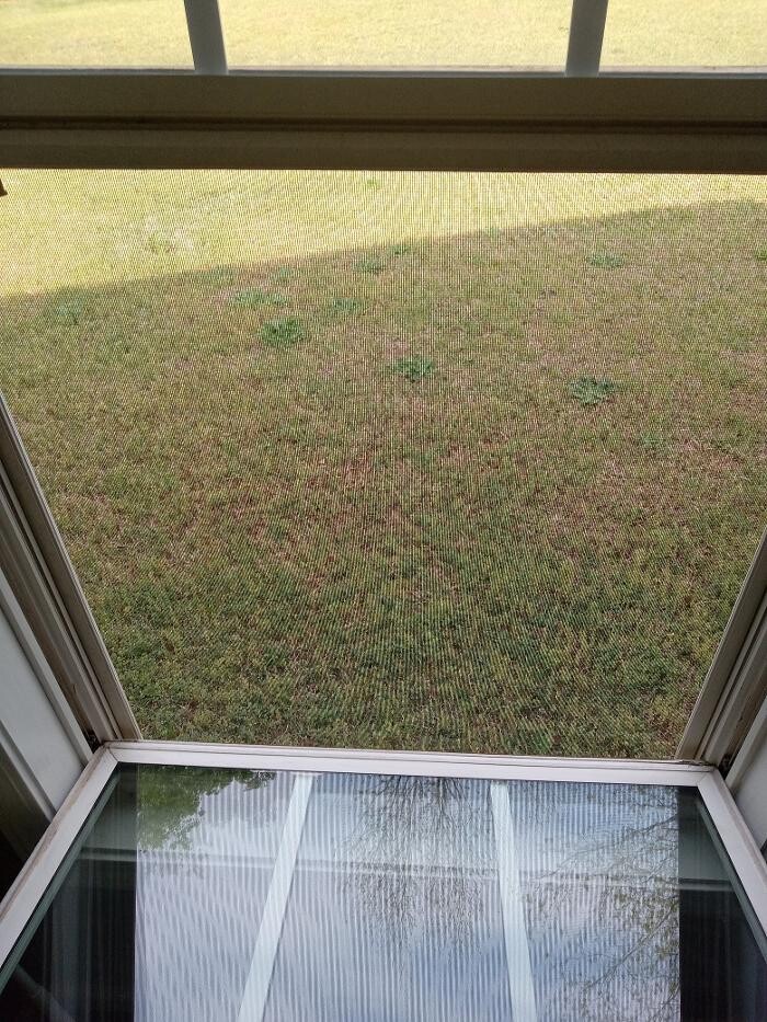 Images Swifty Bee Cleaning Services