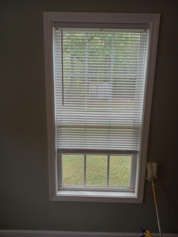 Images Swifty Bee Cleaning Services