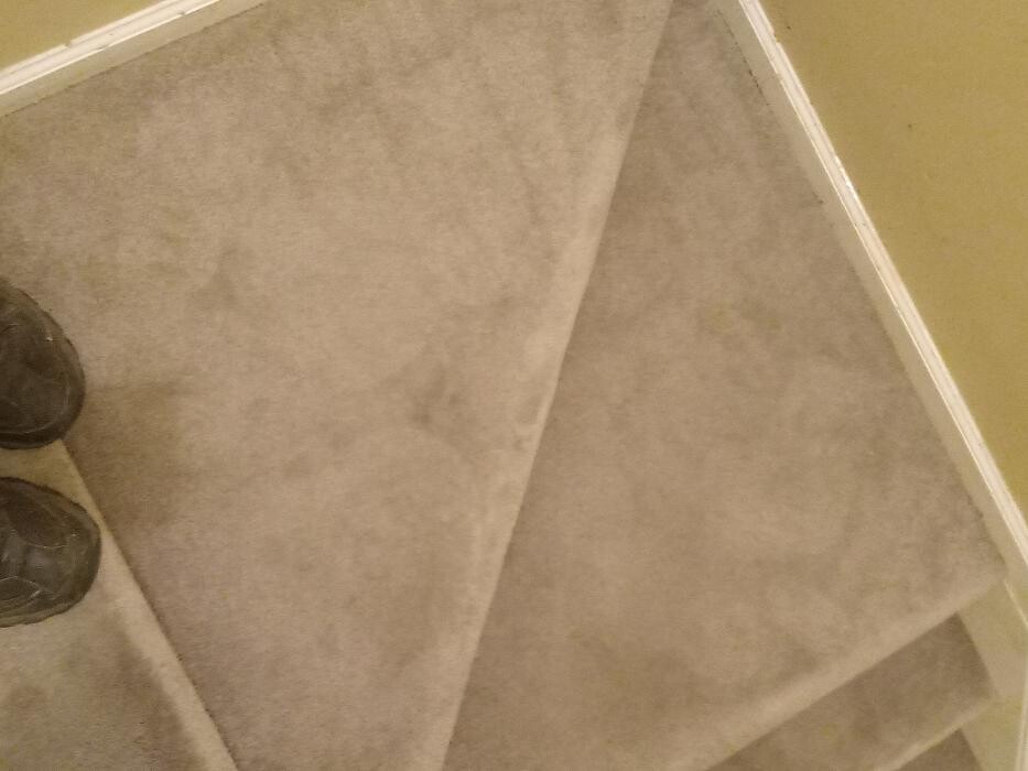 Images Swifty Bee Cleaning Services