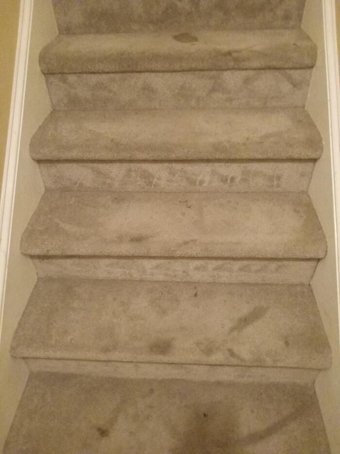 Images Swifty Bee Cleaning Services