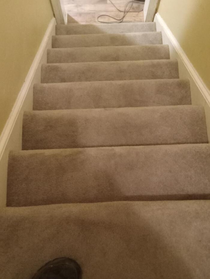 Images Swifty Bee Cleaning Services