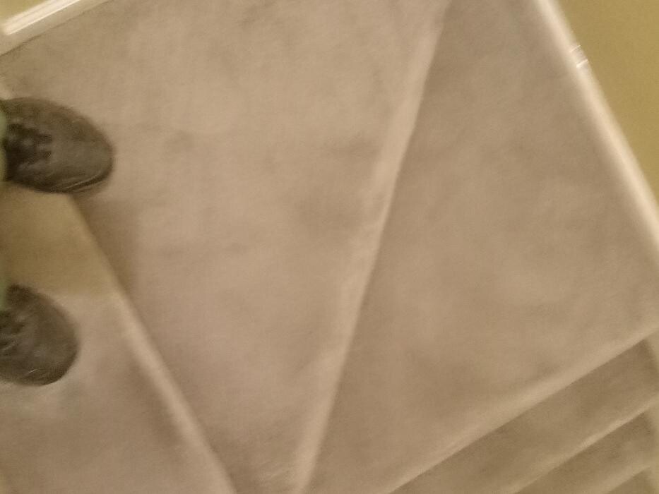 Images Swifty Bee Cleaning Services