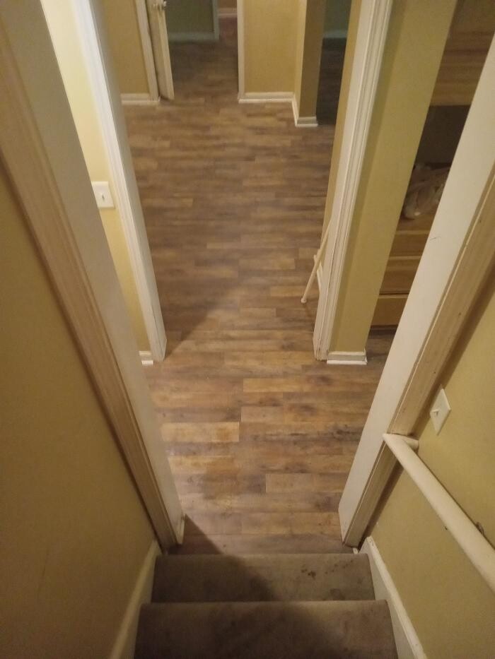 Images Swifty Bee Cleaning Services