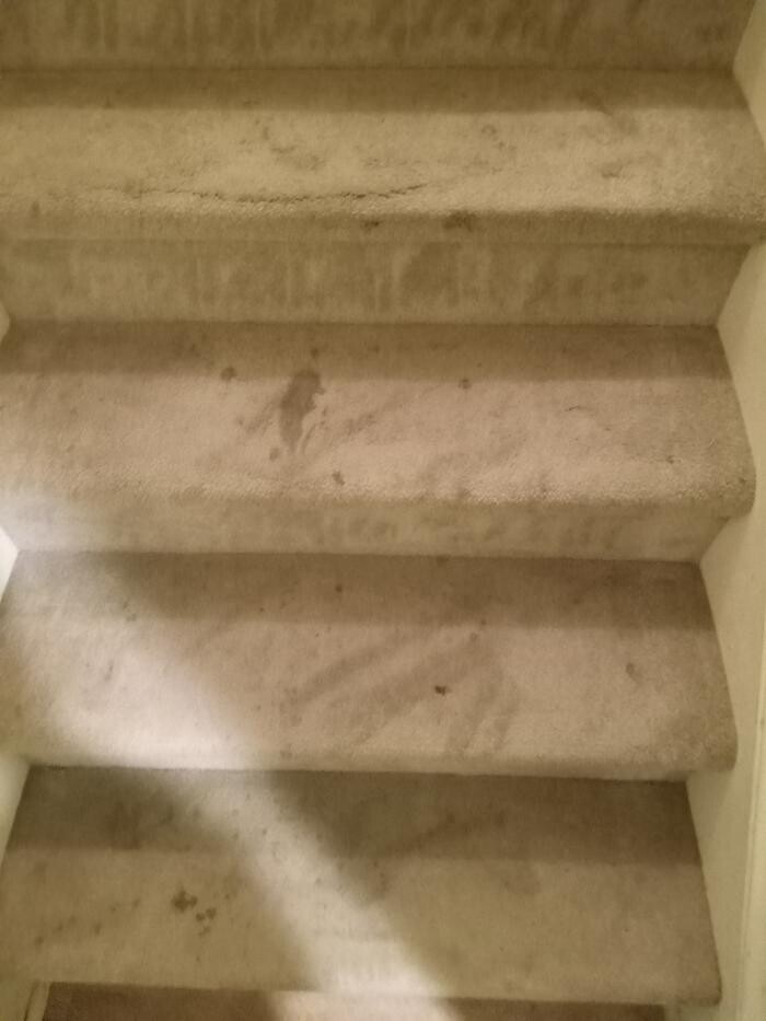 Images Swifty Bee Cleaning Services