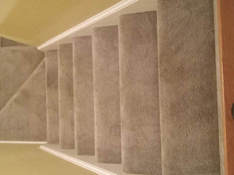 Images Swifty Bee Cleaning Services