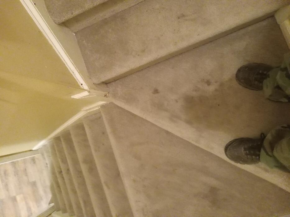 Images Swifty Bee Cleaning Services