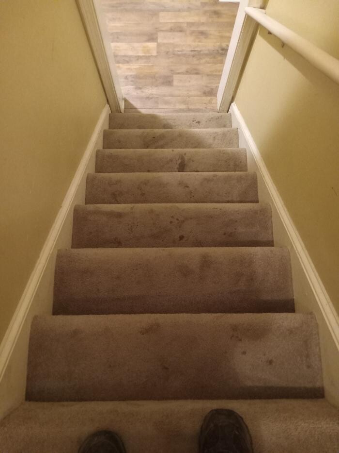 Images Swifty Bee Cleaning Services