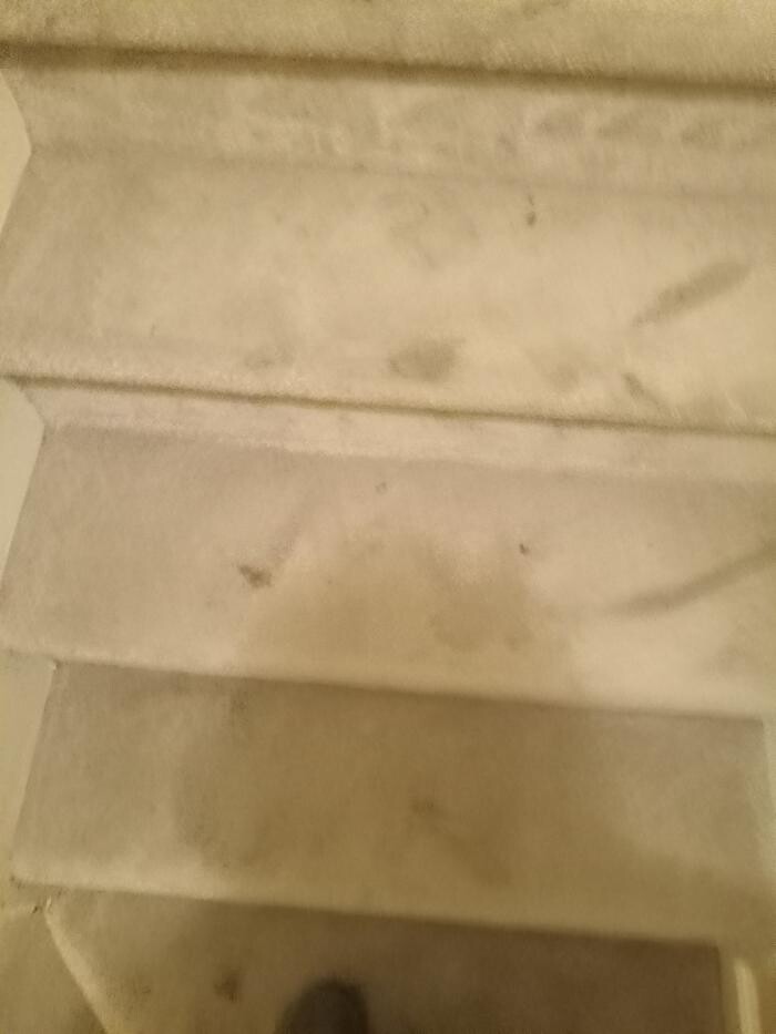 Images Swifty Bee Cleaning Services