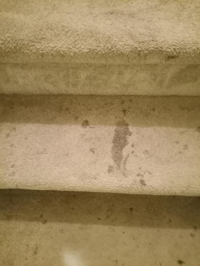 Images Swifty Bee Cleaning Services