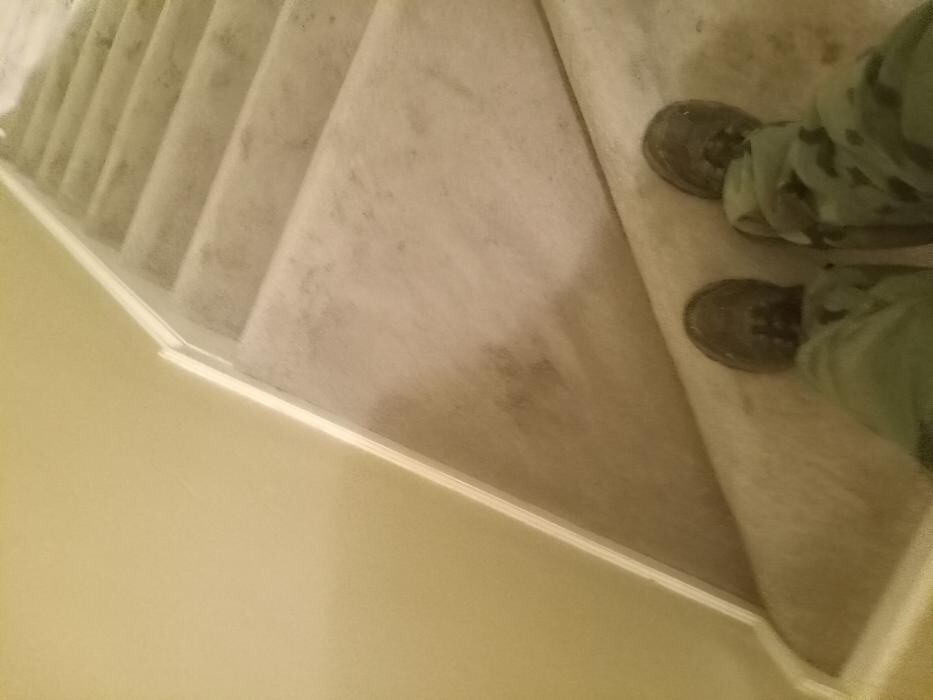 Images Swifty Bee Cleaning Services