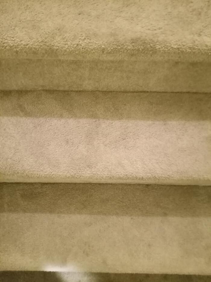 Images Swifty Bee Cleaning Services