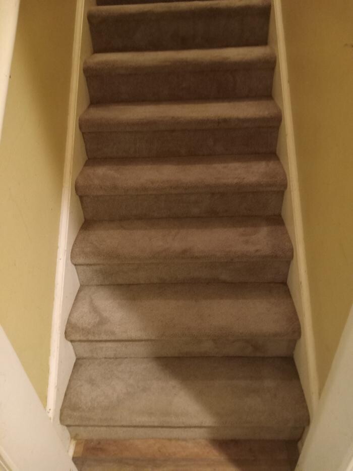 Images Swifty Bee Cleaning Services