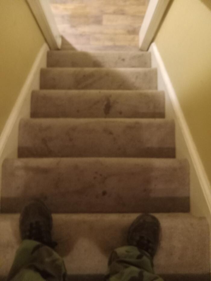 Images Swifty Bee Cleaning Services