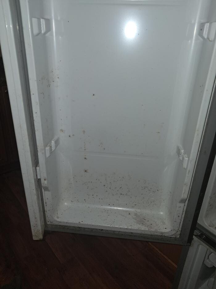 Images Swifty Bee Cleaning Services