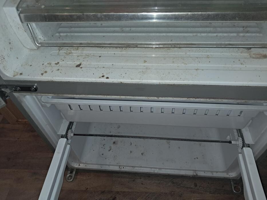 Images Swifty Bee Cleaning Services