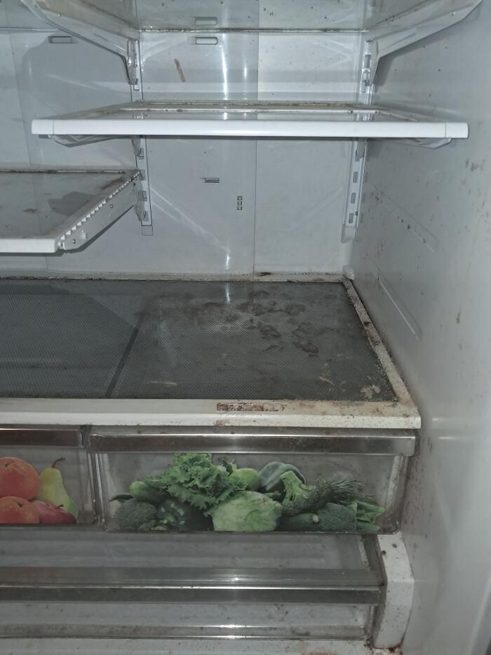 Images Swifty Bee Cleaning Services