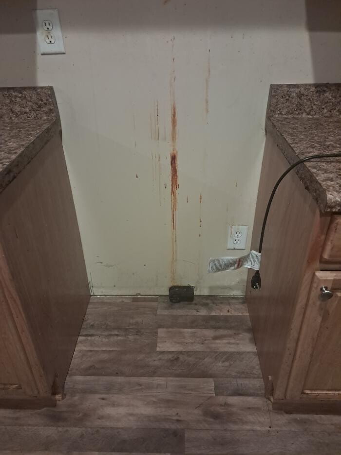 Images Swifty Bee Cleaning Services