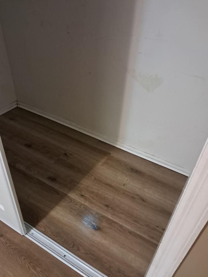 Images Swifty Bee Cleaning Services