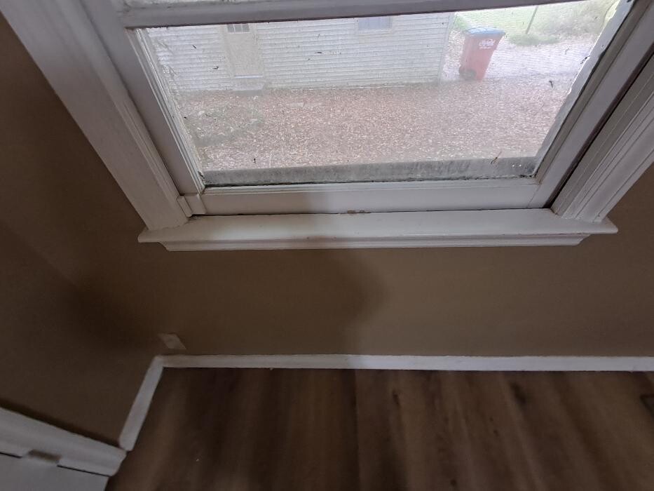 Images Swifty Bee Cleaning Services