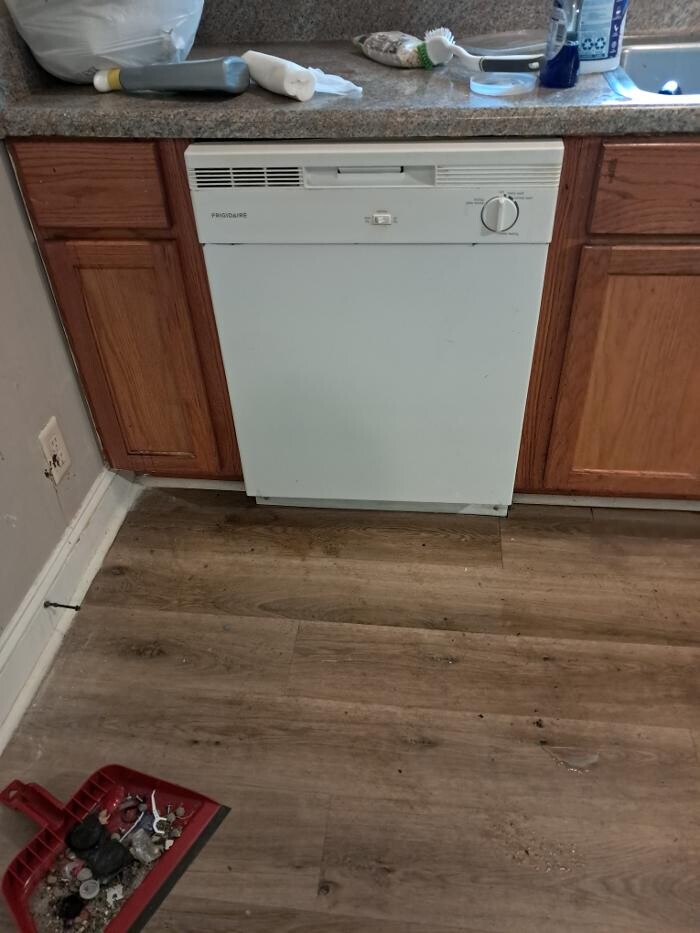 Images Swifty Bee Cleaning Services