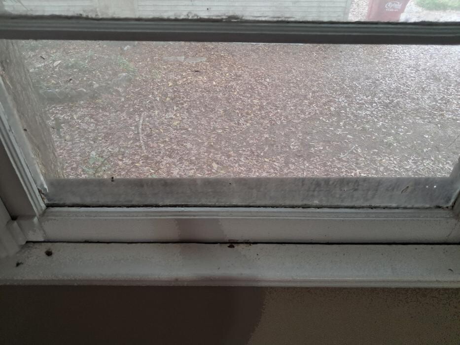 Images Swifty Bee Cleaning Services