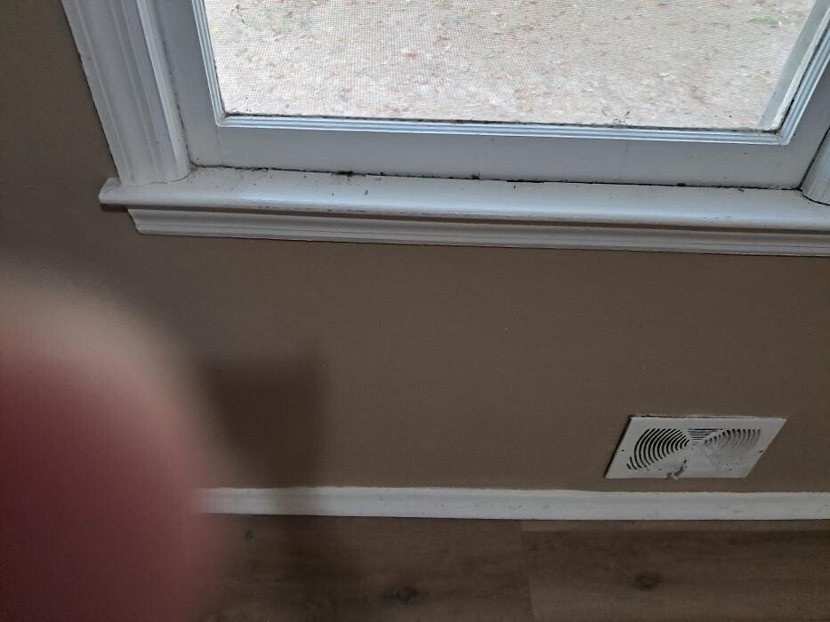 Images Swifty Bee Cleaning Services