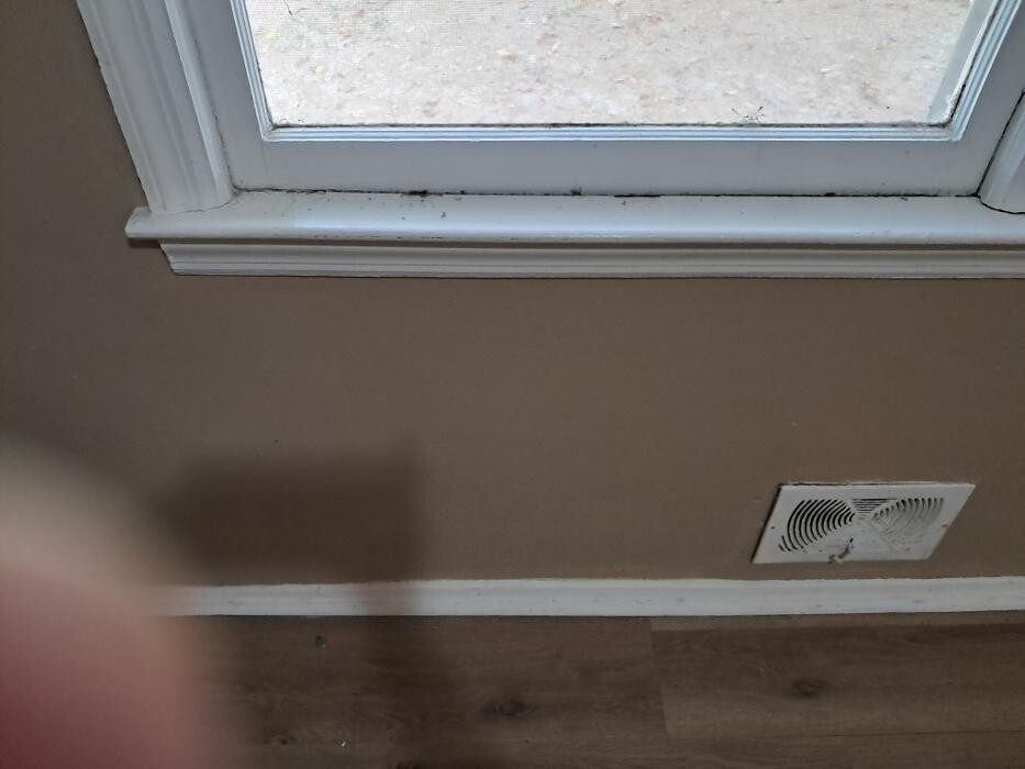 Images Swifty Bee Cleaning Services