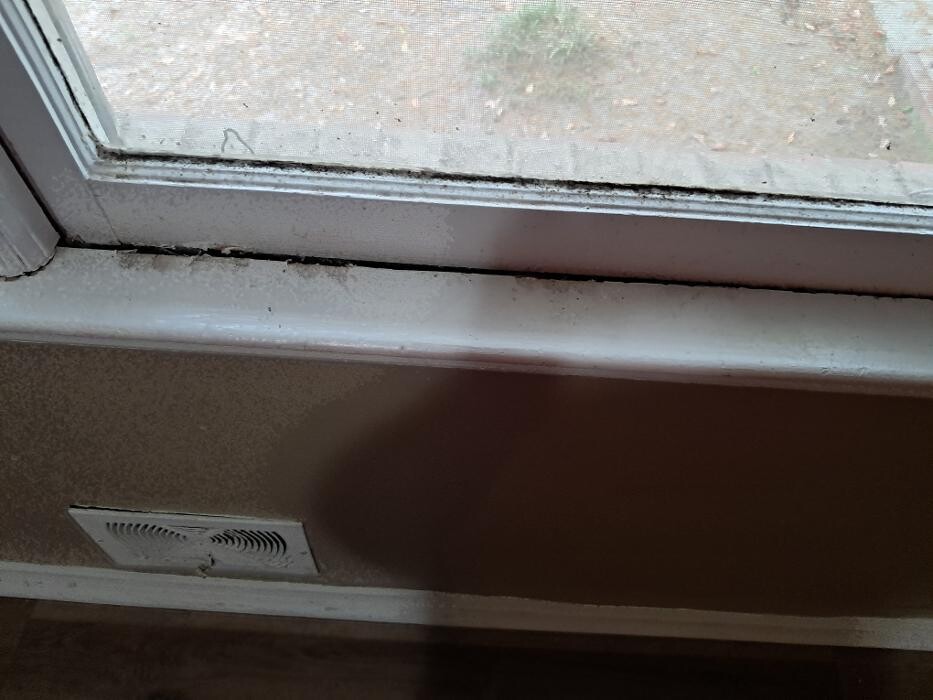 Images Swifty Bee Cleaning Services