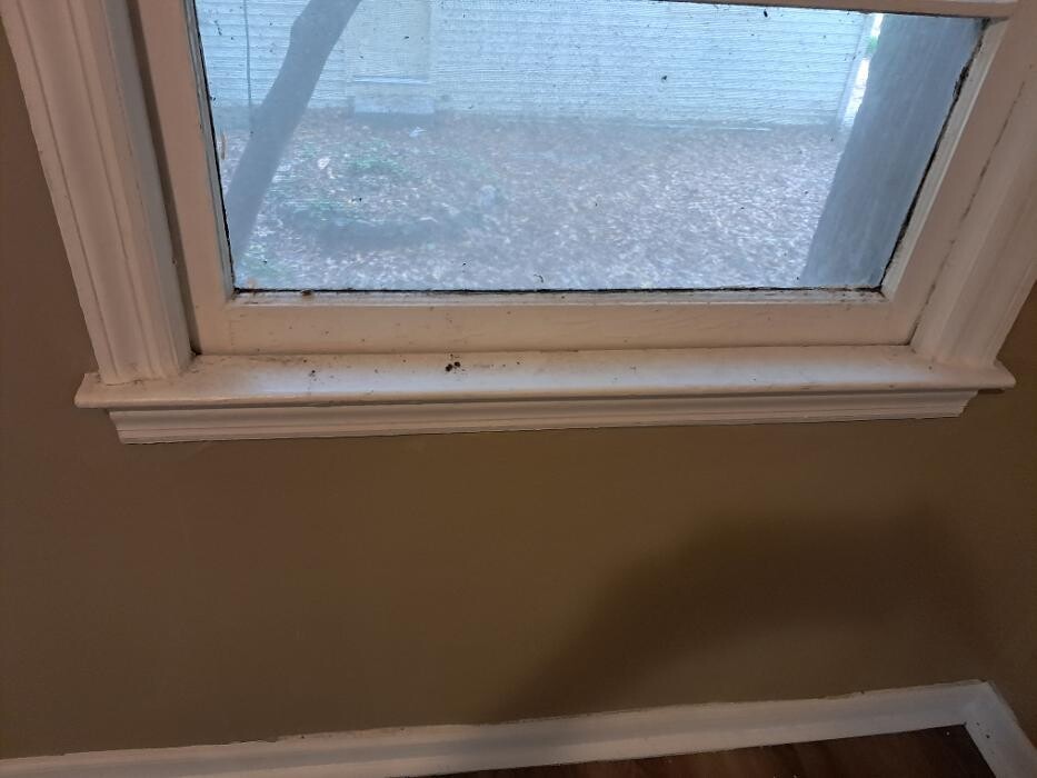 Images Swifty Bee Cleaning Services