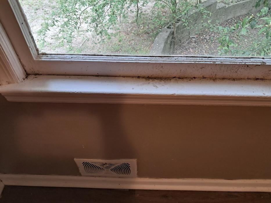 Images Swifty Bee Cleaning Services