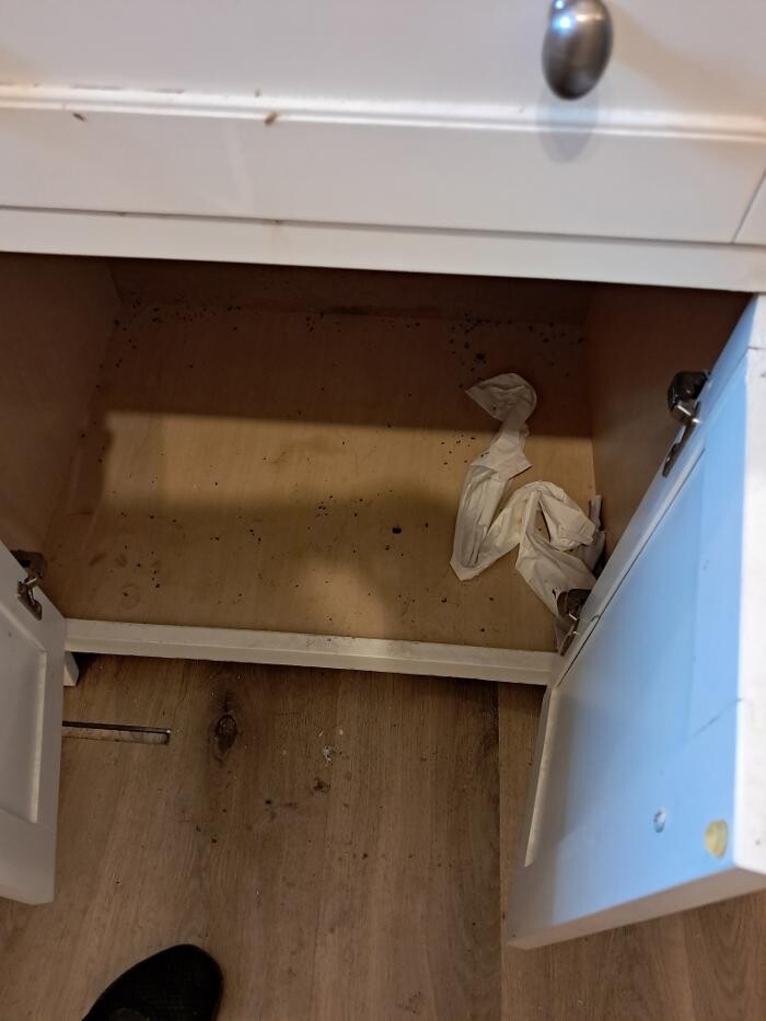 Images Swifty Bee Cleaning Services