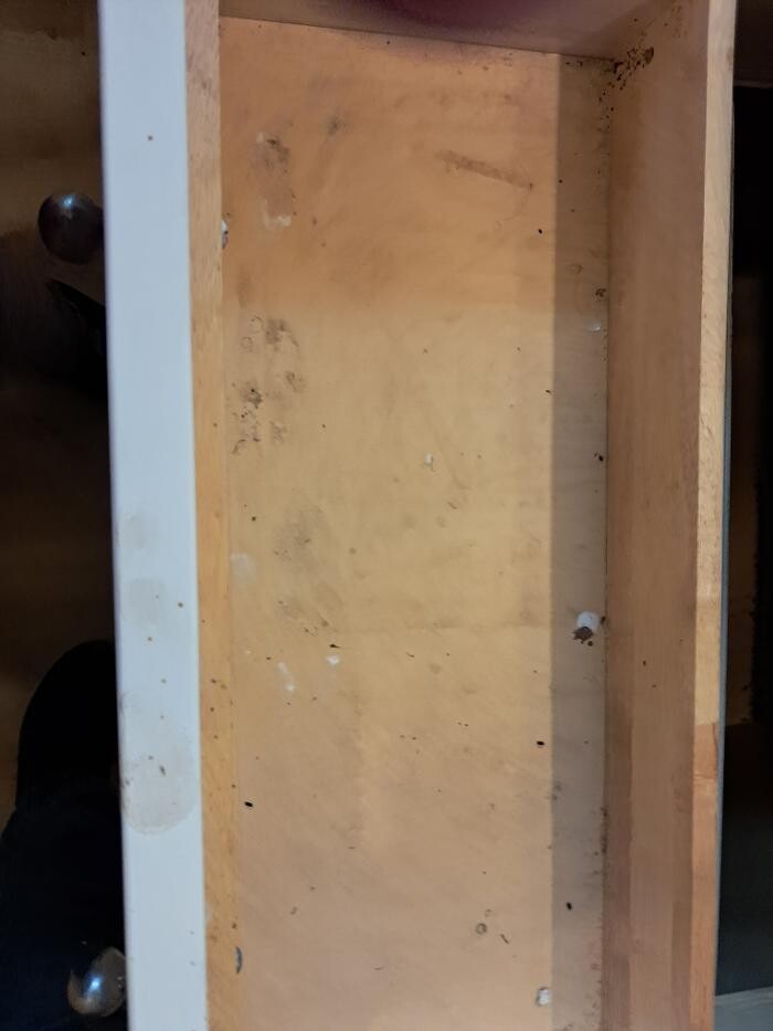 Images Swifty Bee Cleaning Services