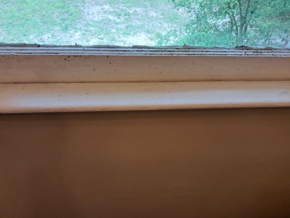 Images Swifty Bee Cleaning Services