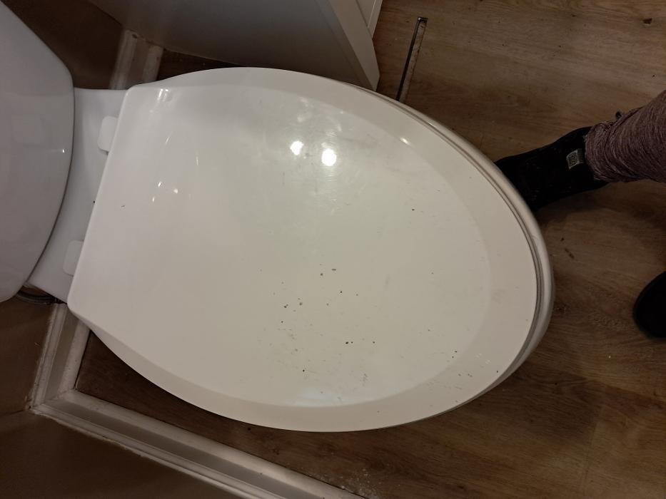 Images Swifty Bee Cleaning Services