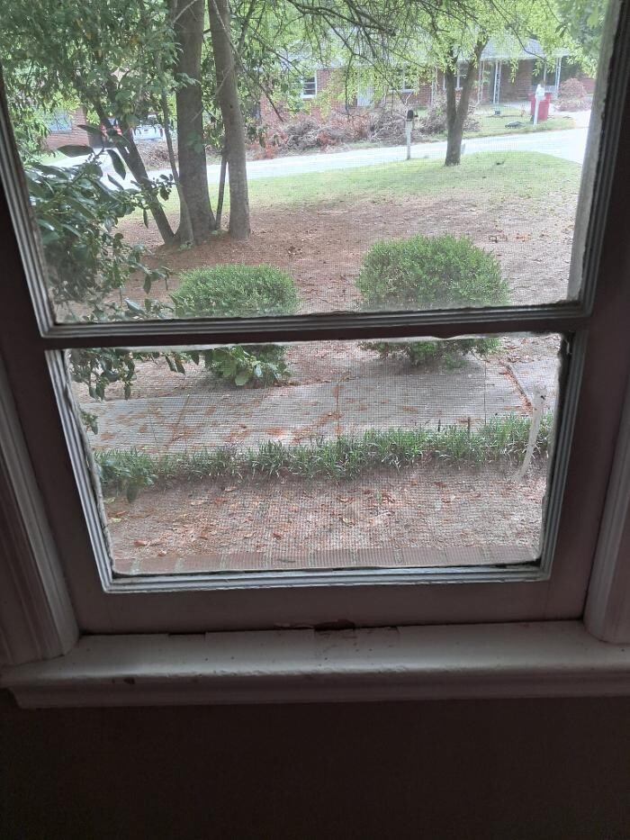 Images Swifty Bee Cleaning Services