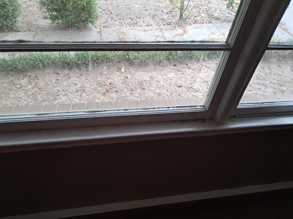 Images Swifty Bee Cleaning Services