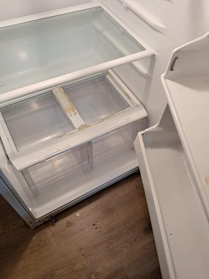 Images Swifty Bee Cleaning Services