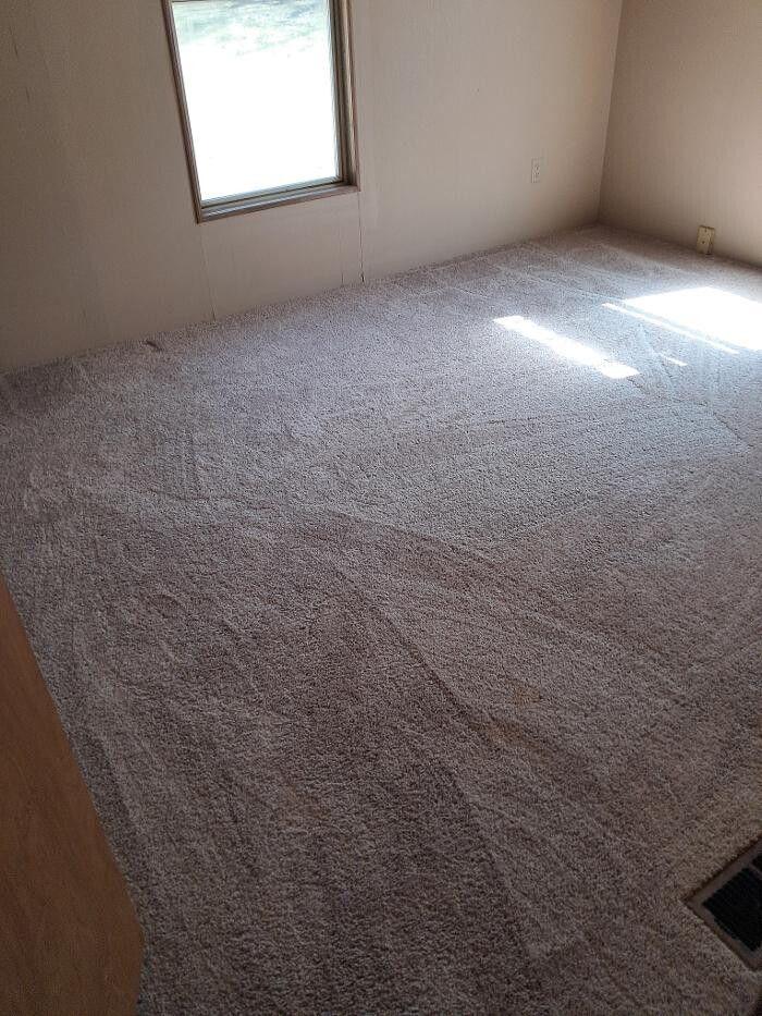 Images Swifty Bee Cleaning Services