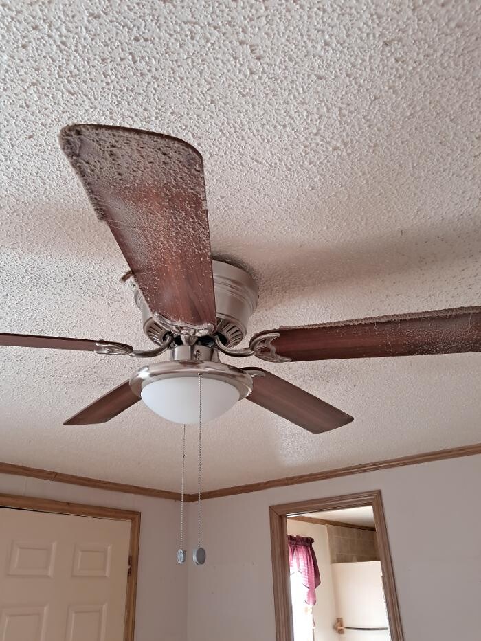 Images Swifty Bee Cleaning Services