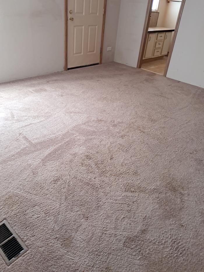 Images Swifty Bee Cleaning Services