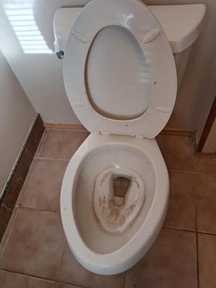 Images Swifty Bee Cleaning Services