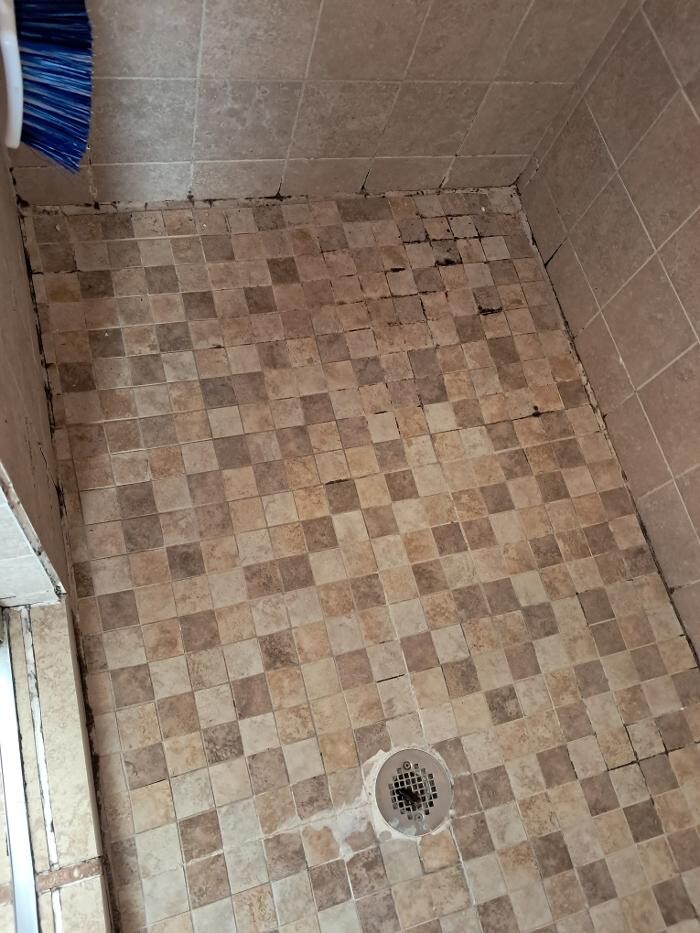 Images Swifty Bee Cleaning Services