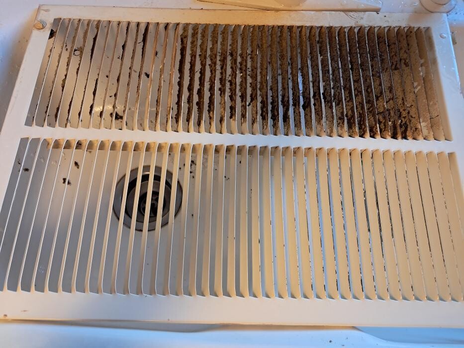 Images Swifty Bee Cleaning Services